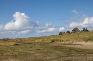 Maischegaerung - Rotwein auf der Maische