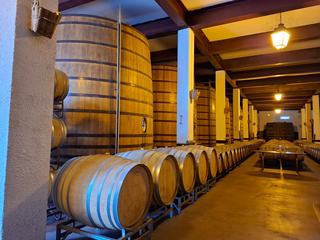 Brettanomyces im Wein erkennen, bewerten und vermeiden