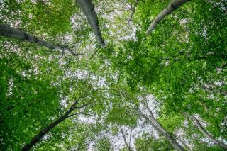 Weinfarbe: Was Farbe und Farbton ueber Wein verraten